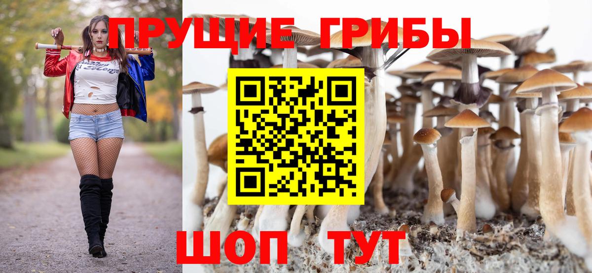 Галлюциногенные грибы мицелий  Вход с VPN  Березники 
